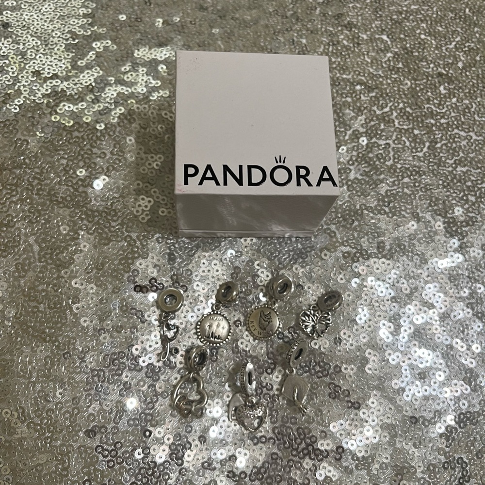 bundle of pandora charms!